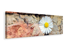 Laden Sie das Bild in den Galerie-Viewer, Leinwandbild Panorama Blume in der Wand