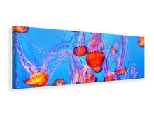 Laden Sie das Bild in den Galerie-Viewer, Leinwandbild Panorama Bunte Quallen