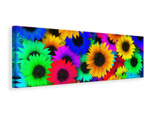 Laden Sie das Bild in den Galerie-Viewer, Leinwandbild Panorama Bunte Sonnenblumen
