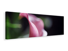 Laden Sie das Bild in den Galerie-Viewer, Leinwandbild Panorama Calla in lila