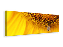 Laden Sie das Bild in den Galerie-Viewer, Leinwandbild Panorama Close up Gelbe Knospe