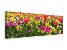 Laden Sie das Bild in den Galerie-Viewer, Leinwandbild Panorama Das Frühlingserwachen