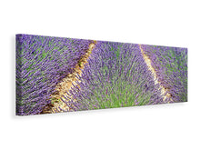 Laden Sie das Bild in den Galerie-Viewer, Leinwandbild Panorama Das Lavendel Feld