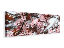 Laden Sie das Bild in den Galerie-Viewer, Leinwandbild Panorama Der Frühling ist da