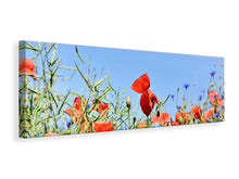 Laden Sie das Bild in den Galerie-Viewer, Leinwandbild Panorama Der Mohn in der Blumenwiese