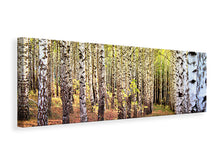 Laden Sie das Bild in den Galerie-Viewer, Leinwandbild Panorama der Weg zwischen Birken
