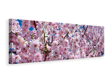 Laden Sie das Bild in den Galerie-Viewer, Leinwandbild Panorama Die Japanische Zierkirsche