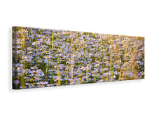 Laden Sie das Bild in den Galerie-Viewer, Leinwandbild Panorama Ein Feld voll Kamille
