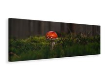 Laden Sie das Bild in den Galerie-Viewer, Leinwandbild Panorama Ein Pilz im Wald