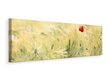 Laden Sie das Bild in den Galerie-Viewer, Leinwandbild Panorama Eine Mohnblume