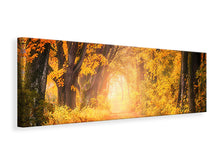 Laden Sie das Bild in den Galerie-Viewer, Leinwandbild Panorama Farben prächtiger Wald