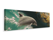 Laden Sie das Bild in den Galerie-Viewer, Leinwandbild Panorama Faszination Delfin