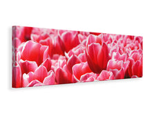 Laden Sie das Bild in den Galerie-Viewer, Leinwandbild Panorama Fröhliches Tulpenfeld