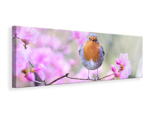 Laden Sie das Bild in den Galerie-Viewer, Leinwandbild Panorama Frühlings Vogel