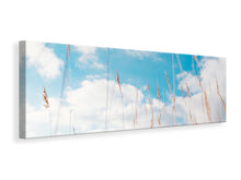 Laden Sie das Bild in den Galerie-Viewer, Leinwandbild Panorama Grashalme im Himmel