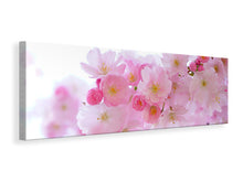 Laden Sie das Bild in den Galerie-Viewer, Leinwandbild Panorama Japanische Kirschblüte XL