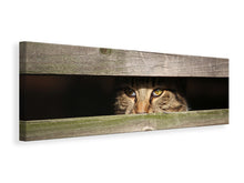 Laden Sie das Bild in den Galerie-Viewer, Leinwandbild Panorama Katze im Versteck