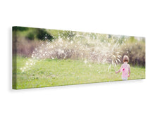 Laden Sie das Bild in den Galerie-Viewer, Leinwandbild Panorama Kleine Fee
