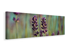 Laden Sie das Bild in den Galerie-Viewer, Leinwandbild Panorama Lavendel in XL
