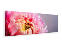 Laden Sie das Bild in den Galerie-Viewer, Leinwandbild Panorama Makro Chrysantheme