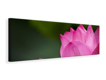 Laden Sie das Bild in den Galerie-Viewer, Leinwandbild Panorama Marko Lotus in pink