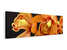 Laden Sie das Bild in den Galerie-Viewer, Leinwandbild Panorama Orchideen mit orangen Blüten