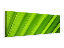 Laden Sie das Bild in den Galerie-Viewer, Leinwandbild Panorama Palm Streifen 2