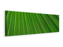 Laden Sie das Bild in den Galerie-Viewer, Leinwandbild Panorama Palm Streifen 1