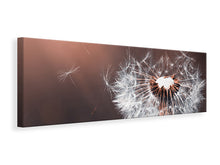Laden Sie das Bild in den Galerie-Viewer, Leinwandbild Panorama Pusteblume im Abendlicht