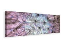 Laden Sie das Bild in den Galerie-Viewer, Leinwandbild Panorama Pusteblume im Lichterspiel