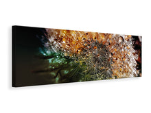 Laden Sie das Bild in den Galerie-Viewer, Leinwandbild Panorama Pusteblume im Morgentau