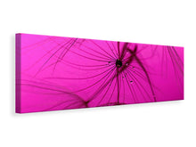 Laden Sie das Bild in den Galerie-Viewer, Leinwandbild Panorama Pusteblume in pink