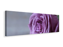 Laden Sie das Bild in den Galerie-Viewer, Leinwandbild Panorama Rose in Lila XXL
