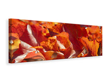 Laden Sie das Bild in den Galerie-Viewer, Leinwandbild Panorama Schönes Herbstlaub