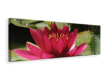 Laden Sie das Bild in den Galerie-Viewer, Leinwandbild Panorama Seerose in rot