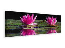 Laden Sie das Bild in den Galerie-Viewer, Leinwandbild Panorama Seerosen Duo in pink