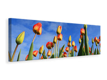 Laden Sie das Bild in den Galerie-Viewer, Leinwandbild Panorama Tulpen ragen zum Himmel