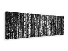 Laden Sie das Bild in den Galerie-Viewer, Leinwandbild Panorama Viele Birken XL