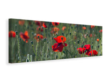 Laden Sie das Bild in den Galerie-Viewer, Leinwandbild Panorama Wilder Mohn