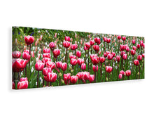 Laden Sie das Bild in den Galerie-Viewer, Leinwandbild Panorama Wildes Tulpenfeld