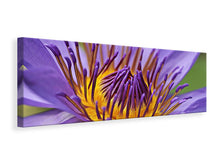 Laden Sie das Bild in den Galerie-Viewer, Leinwandbild Panorama XXL Seerose in lila