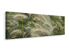 Laden Sie das Bild in den Galerie-Viewer, Leinwandbild Panorama Ziergrass im Wind